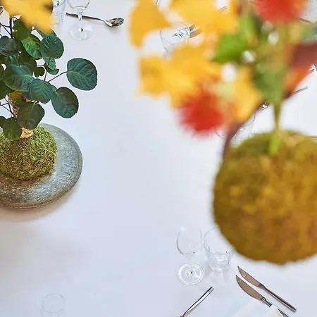 Novotel Paris Malmaison Otel Rueil-Malmaison